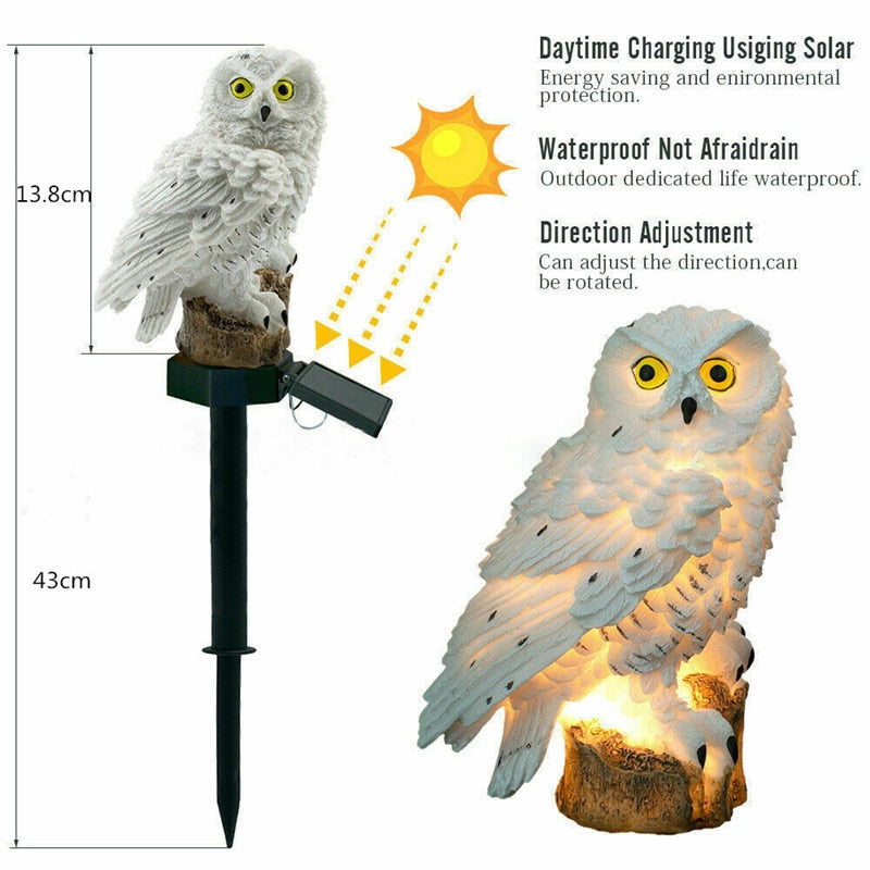 Solar Powered LED Outdoor Lights, Various Designs