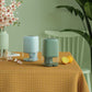 Portable and Quiet, White, Blue or Green Dehumidifier
