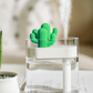 Transparent Landscape Cactus Portable Humidifier