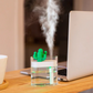 Transparent Landscape Cactus Portable Humidifier