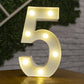 Letters and Numbers LED Lights Lamp Décor
