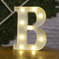 Letters and Numbers LED Lights Lamp Décor