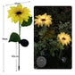 Solar Powered LED Outdoor Lights, Various Designs