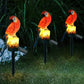 Solar Powered LED Outdoor Lights, Various Designs