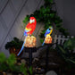 Solar Powered LED Outdoor Lights, Various Designs