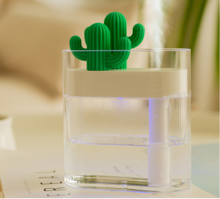 Transparent Landscape Cactus Portable Humidifier